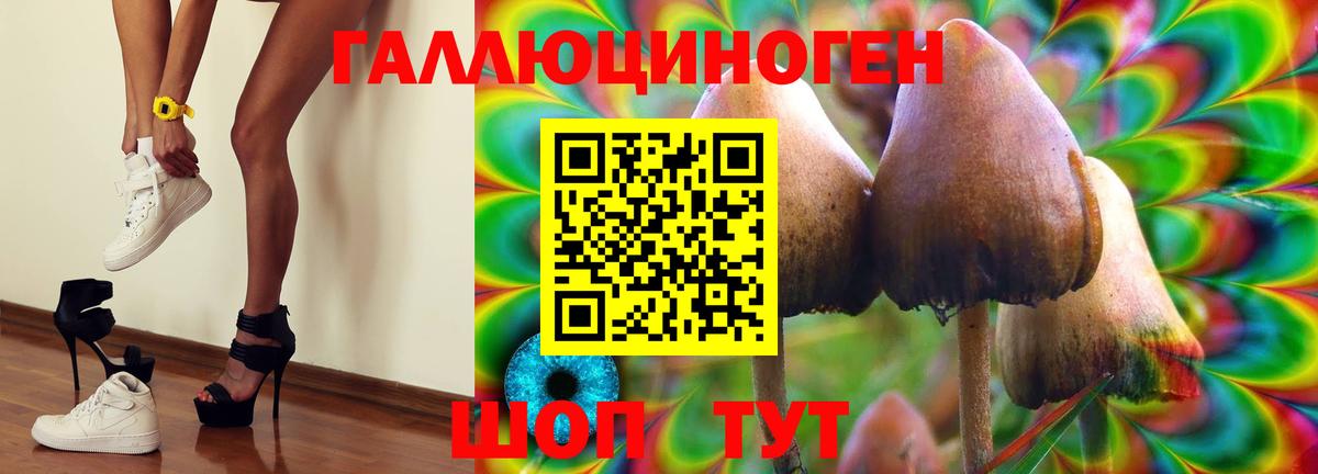 Партизанск  Псилоцибиновые грибы ЛСД  Вход с VPN  Псилоцибиновые грибы Magic Shrooms 